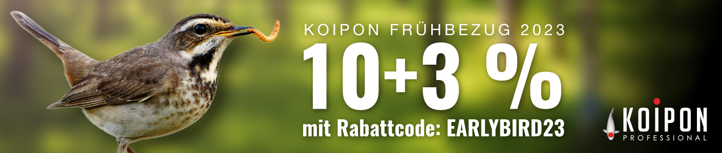 KOIPON Frühbezug bei koite24.de