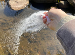 Oxalit Teichschlammentferner flächig in den Teich streuen