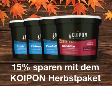 Das Koipon-Herbstpaket - Jetzt 15% sparen
