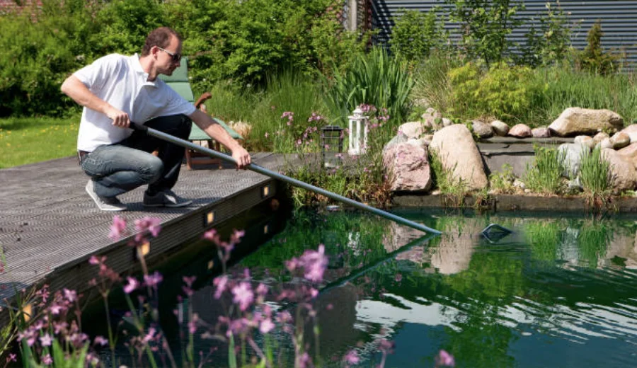 Algen im teich bekämpfen