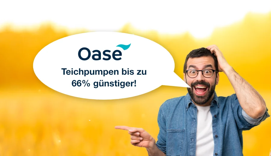 Oase Angebote