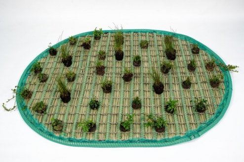 Pflanzinsel-Set oval