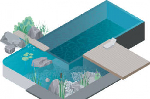 Schwimmteich selber bauen - von der Planung bis zur Pflege