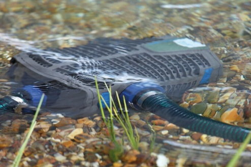 Teichpumpe richtig auswählen