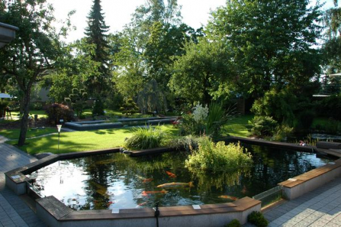 Top-10 Fragen zum Teich im Sommer