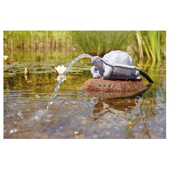 Wasserspeier Schildkröte