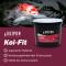 Koi-Fit Montmorillonit - Heilerde Koi