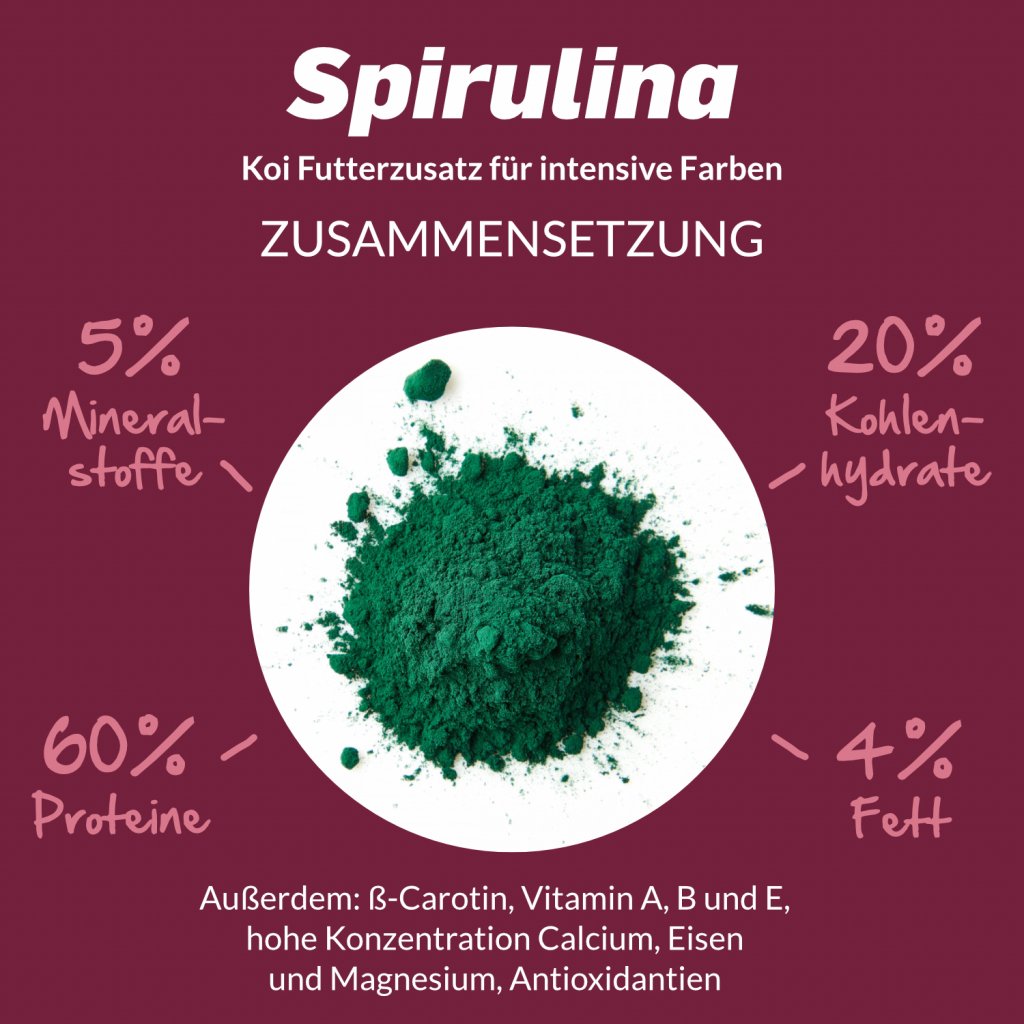 Koi Spirulina Pellets M – 1 Liter, Für Wachstum & Verdauung (15–30 °C)