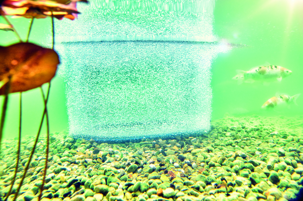 Anifa Aquarium Belüftungsset – Mit Schlauch, Diffusor & Rückschlagventil, 2 M