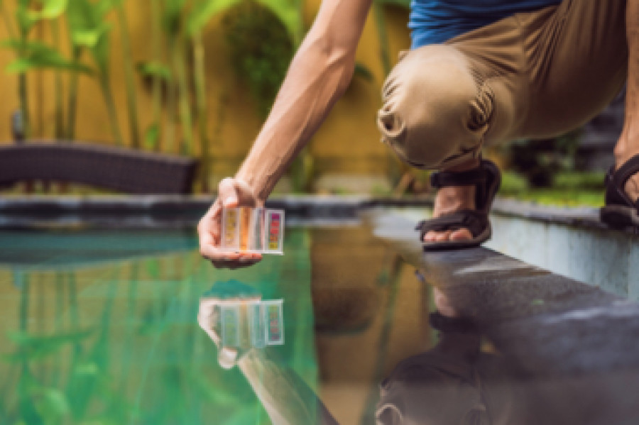 Optimale Wasserwerte Im Teich - Überblick Mit Tabelle