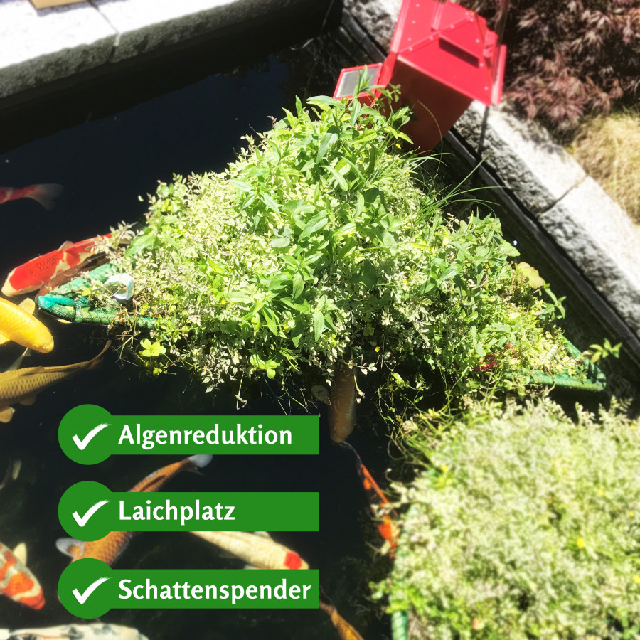 Kleine Pflanzeninsel für den Gartenteich online kaufen