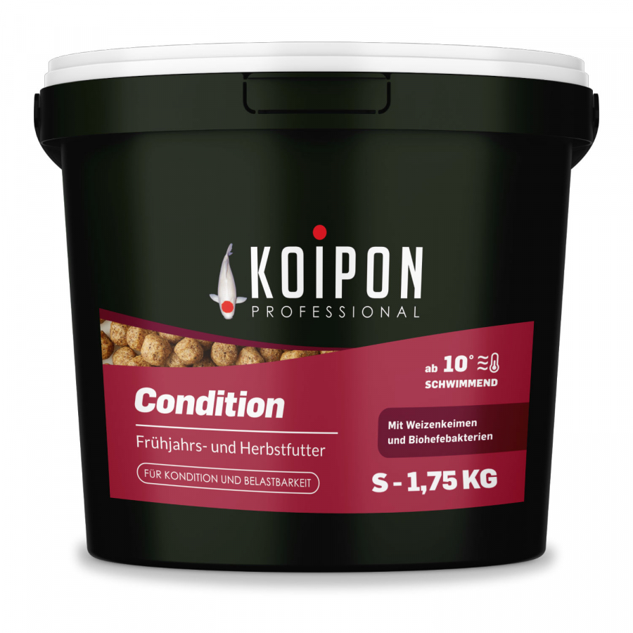 KOIPON Condition S (3mm) Koifutter Frühjahr & Herbst schwimmend, Futter für Koi