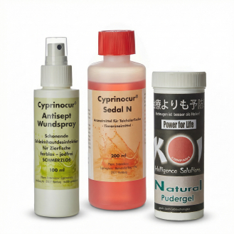 Wundbehandlung Starterset