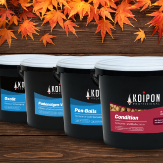 KOIPON Herbstpaket